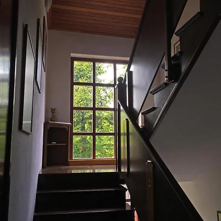 Apartment Lookout