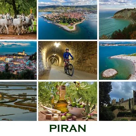 Lookout In The Heart Of Slovenia דירה *