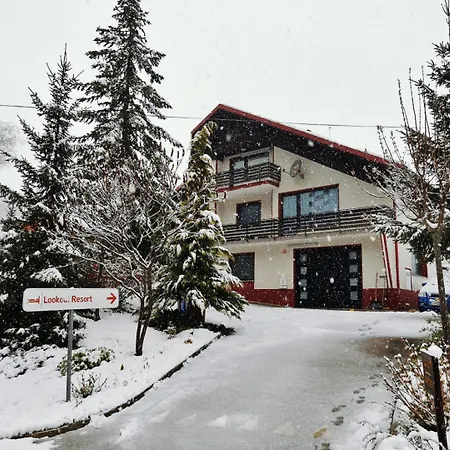 Lookout In The Heart Of Slovenia *