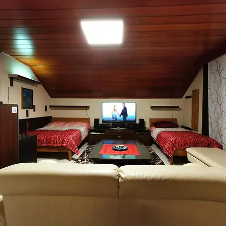 Apartman Lookout In The Heart Of Slovenia