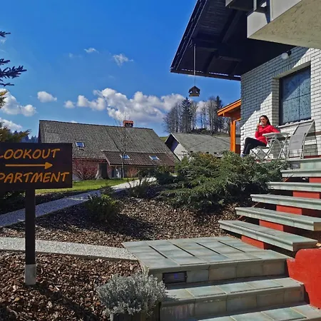 Lookout In The Heart Of Slovenia