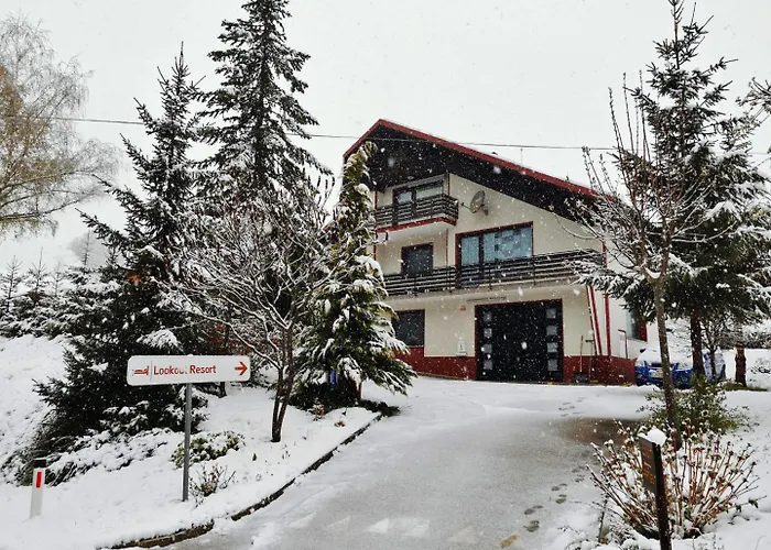 Lookout In The Heart Of Slovenia *