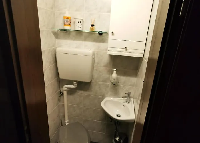 Lookout In The Heart Of Slovenia Appartement *